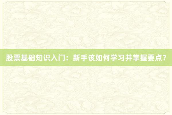 股票基础知识入门：新手该如何学习并掌握要点？