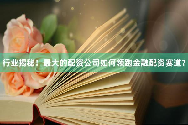行业揭秘！最大的配资公司如何领跑金融配资赛道？