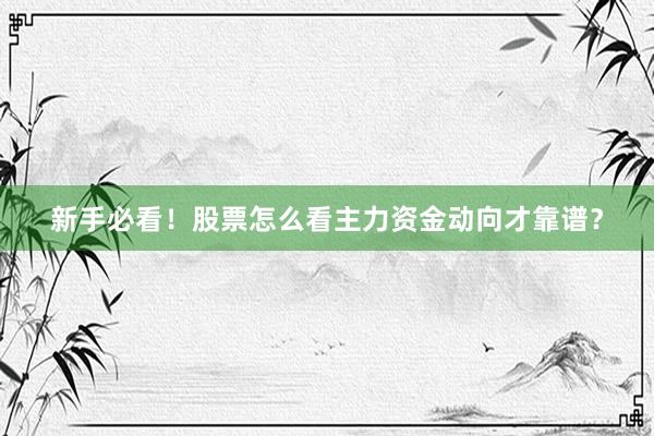 新手必看！股票怎么看主力资金动向才靠谱？