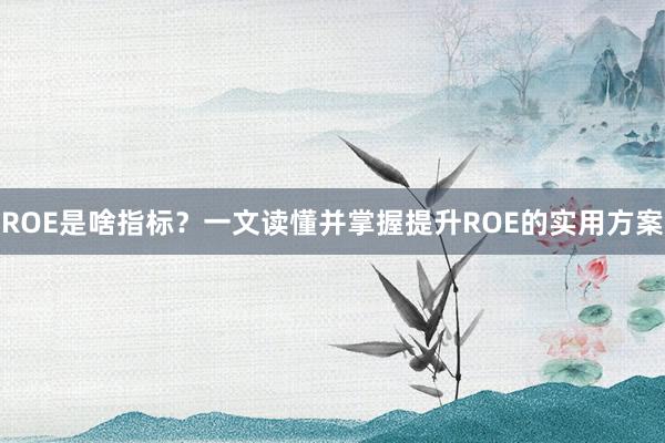 ROE是啥指标？一文读懂并掌握提升ROE的实用方案